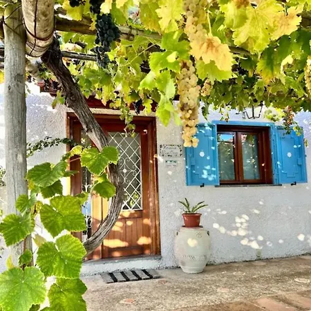 Apartament Infinity Blu *