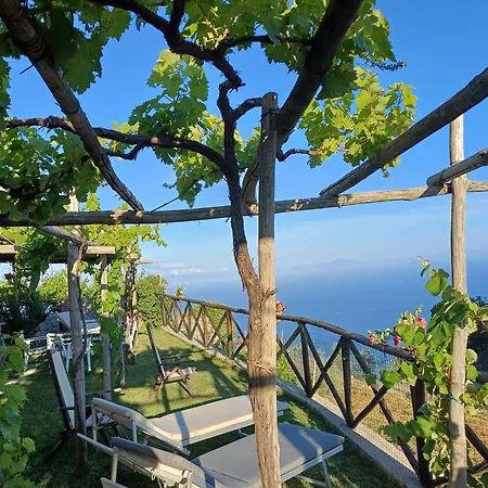 Infinity Blu * Furore